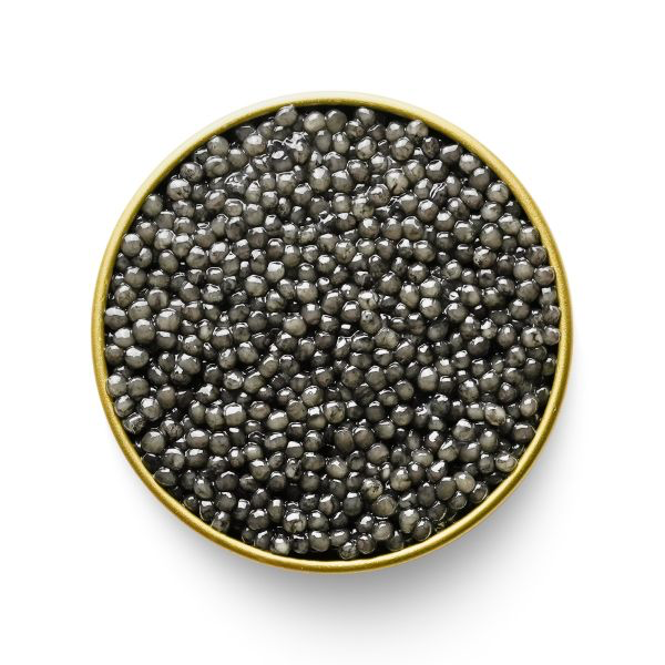 Siberian Sturgeon (Baeri)-CAVIAR