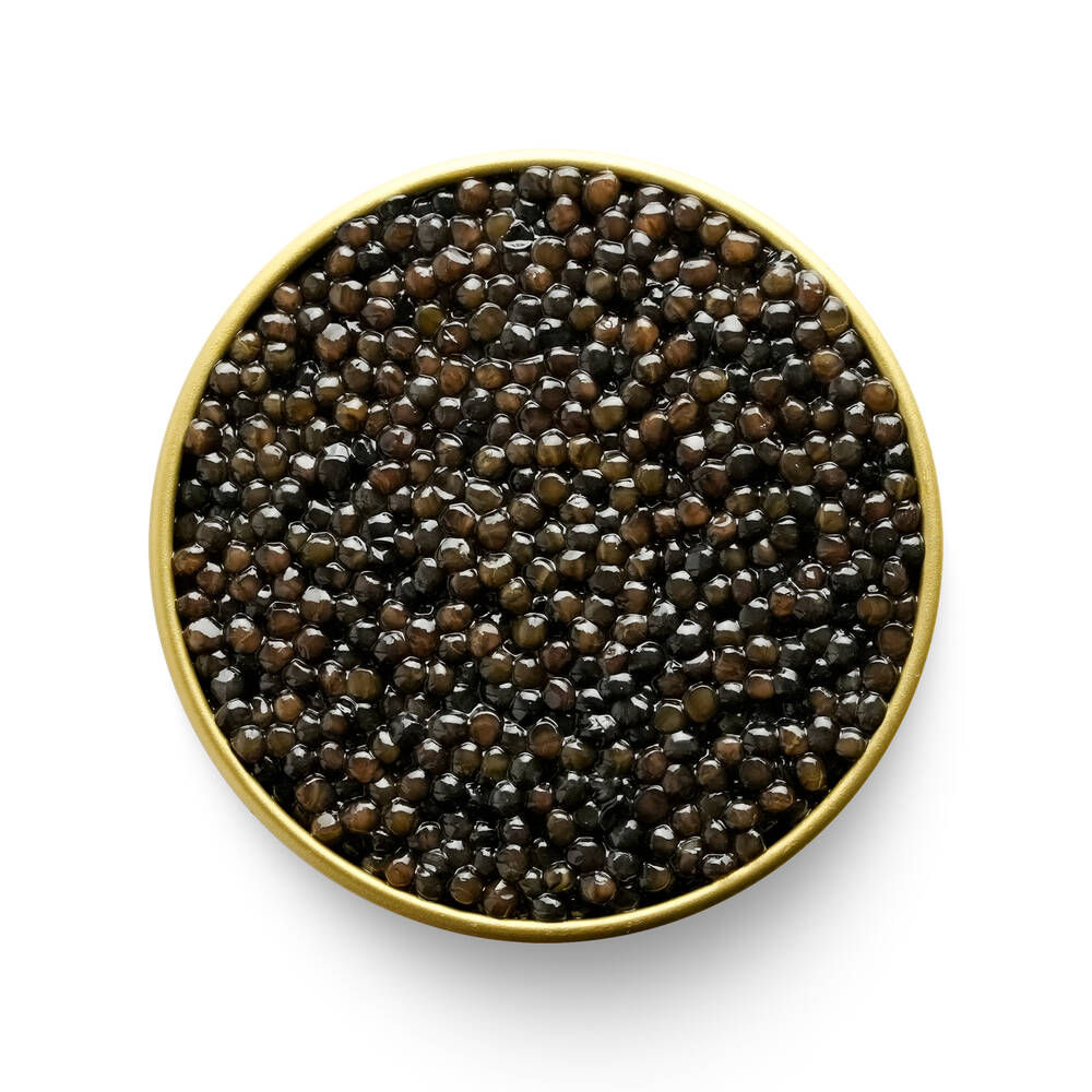 Beluga Di Venezia-CAVIAR