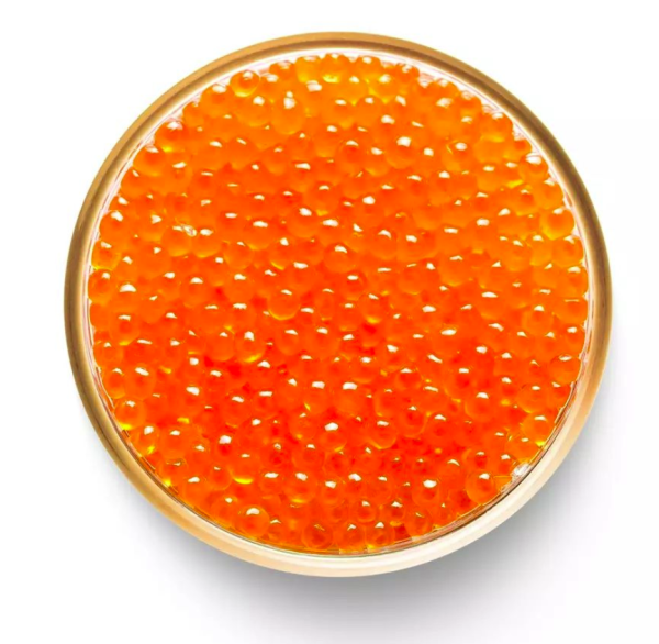 Trout Rainbow.-CAVIAR