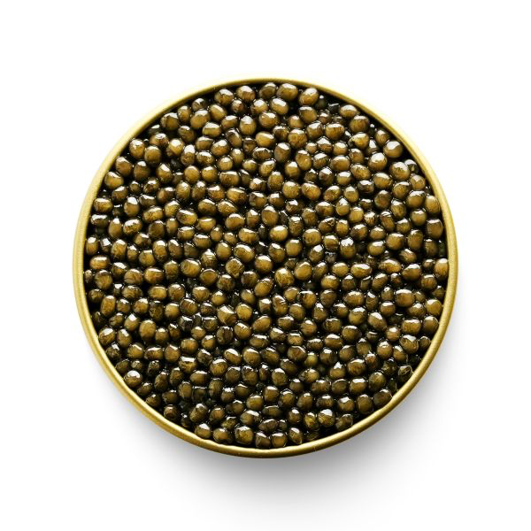 Special Reserve Ossetra-CAVIAR