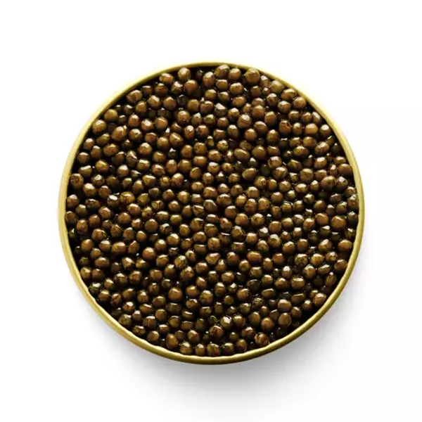 Kaluga Fusion Black-CAVIAR